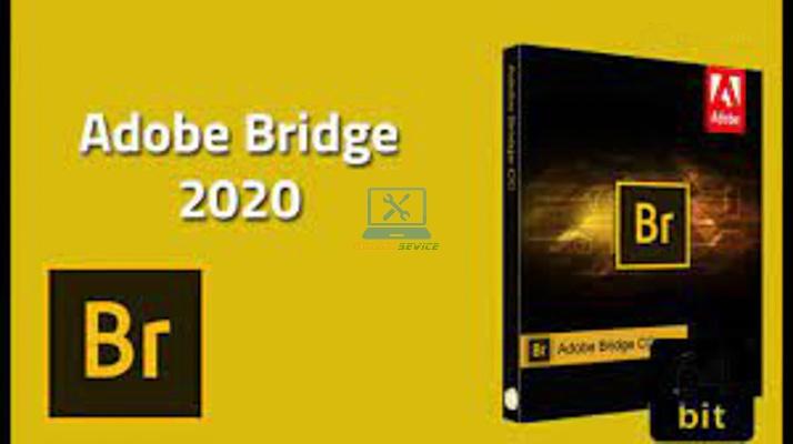 Hướng dẫn cài đặt Bridge 2020