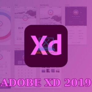 XD 2019: Tải Ngay Bản Chuẩn Mới Nhất!