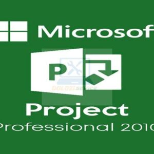 Project Pro 2010: Tải Ngay Bản Chuẩn, Miễn Phí!