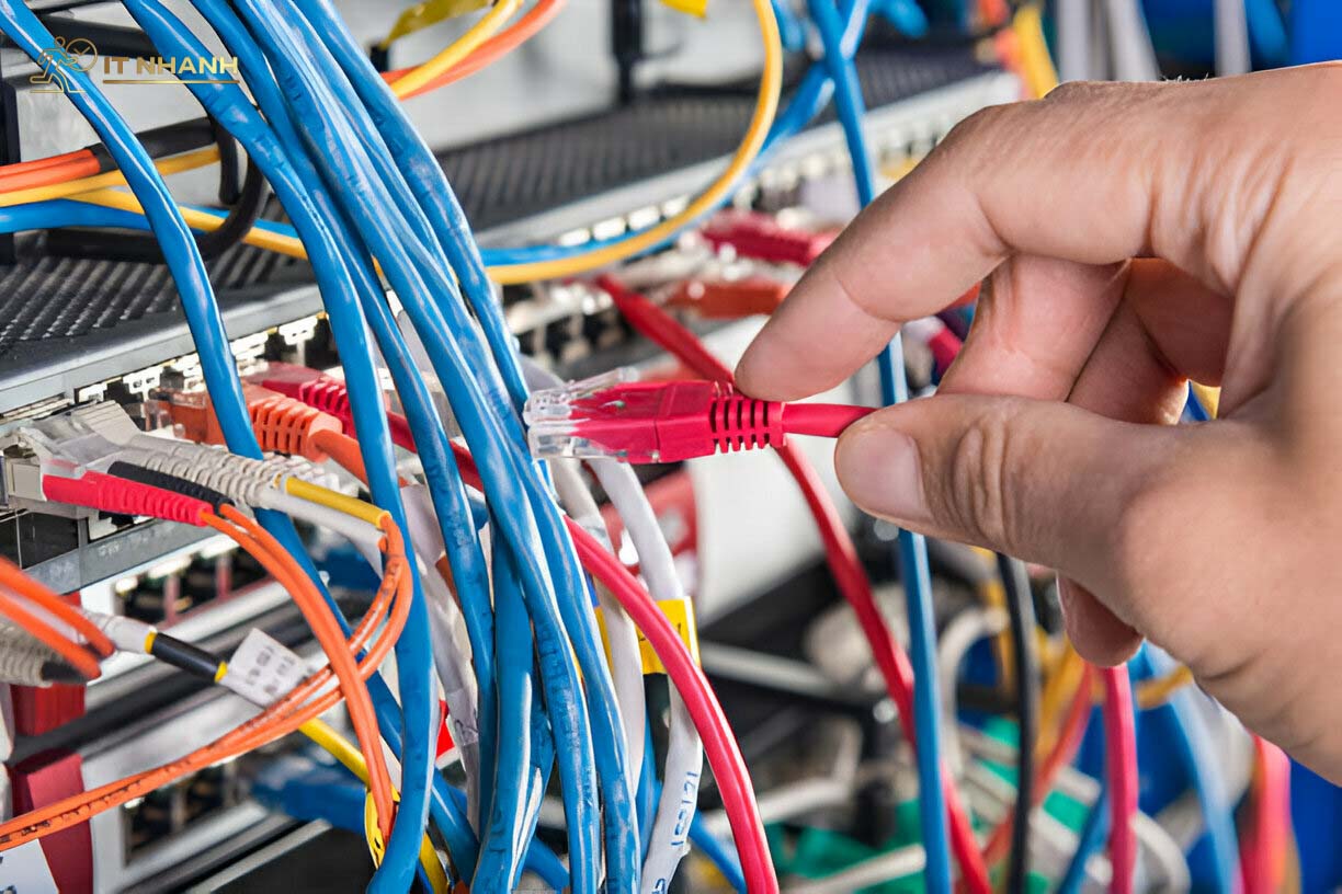 Phạm vi hoạt động IT Nhanh Khu vực hoạt động tại Thủ Đức