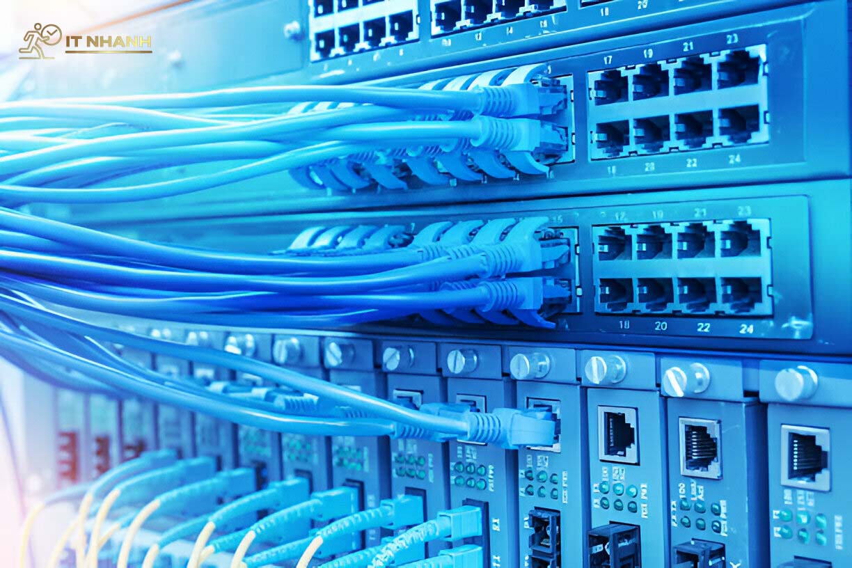 Phục vụ tận nơi tại Quận 5 Phục vụ tận nơi tại Quận 5