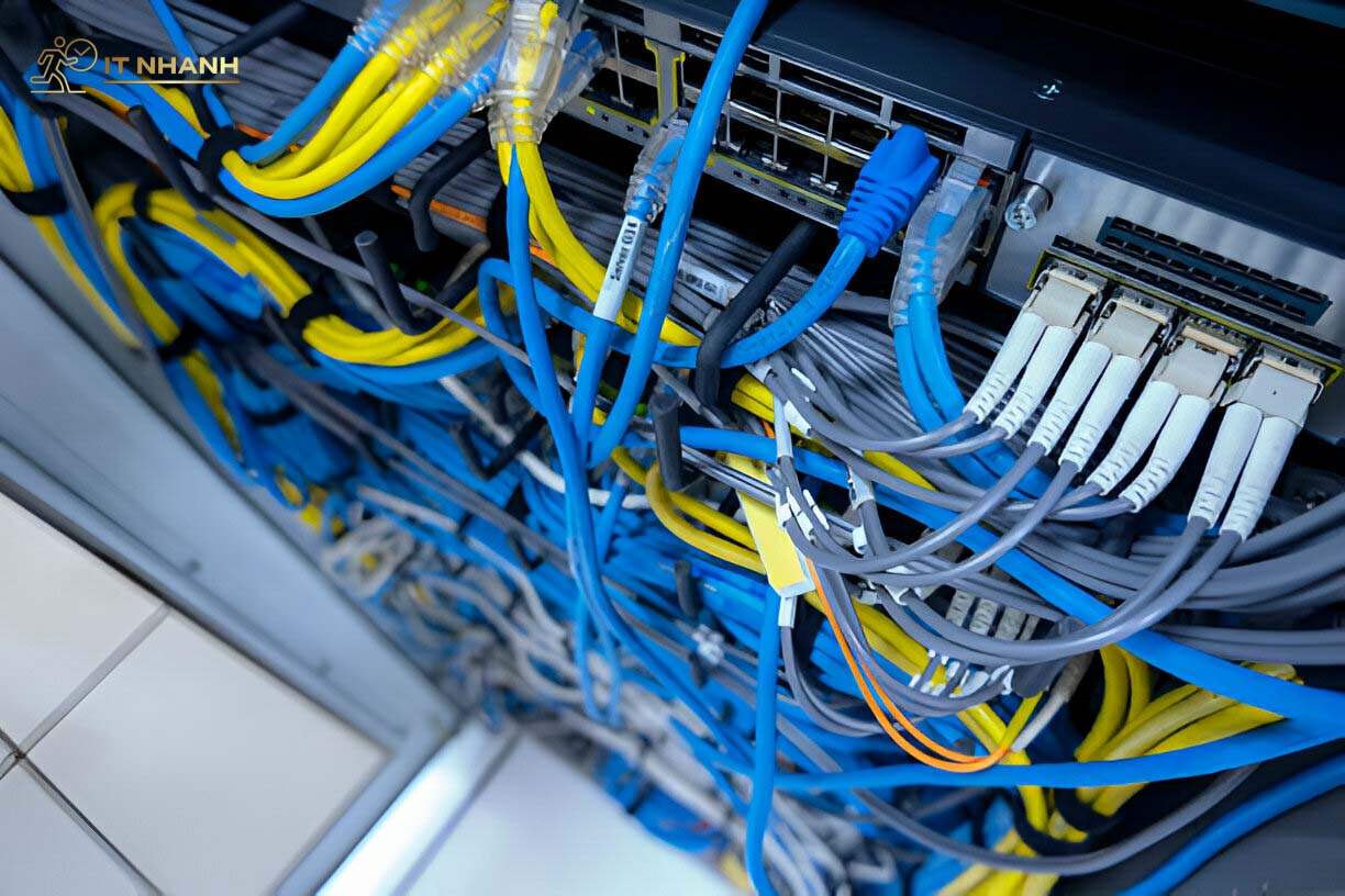 Khu vực hoạt động và các địa điểm nổi bật Khu vực hoạt động tại Thủ Dầu Một