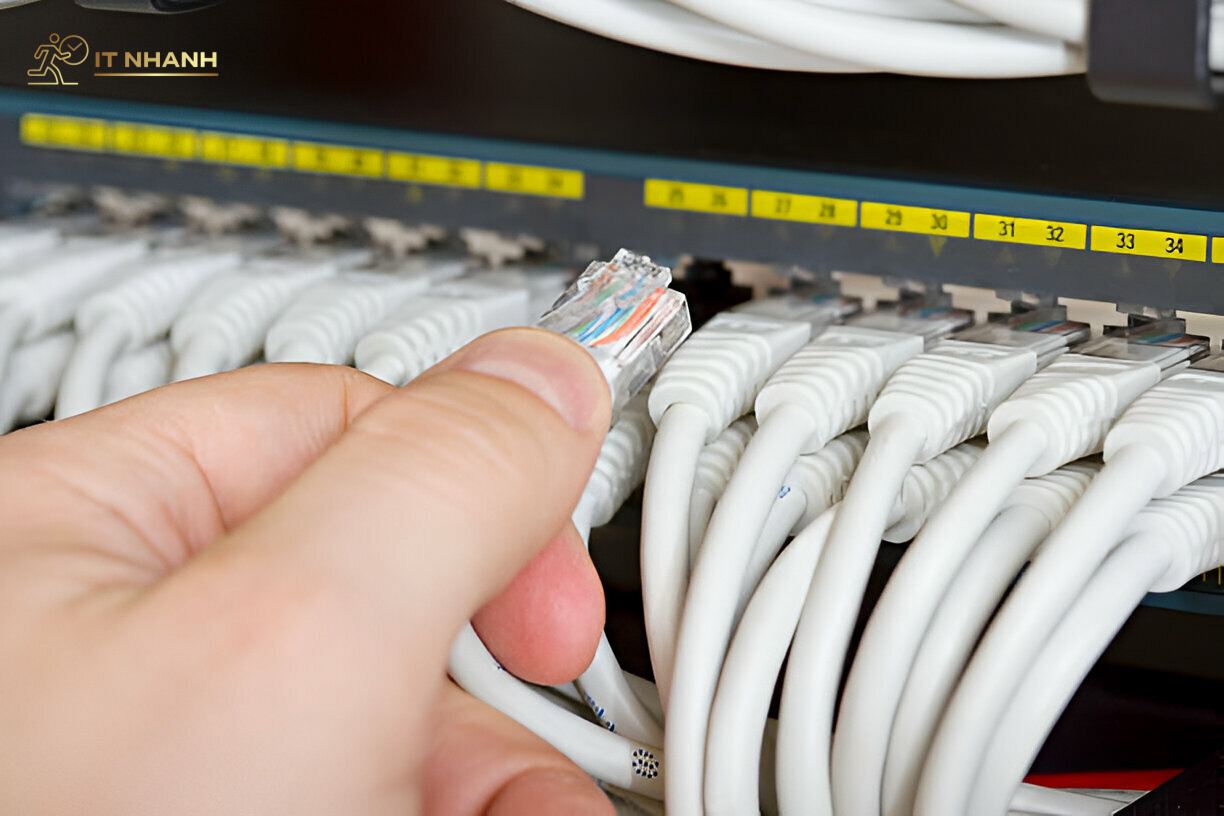 Các dịch vụ đi dây mạng đa dạng tại IT Nhanh Các dịch vụ đi dây mạng đa dạng tại IT Nhanh