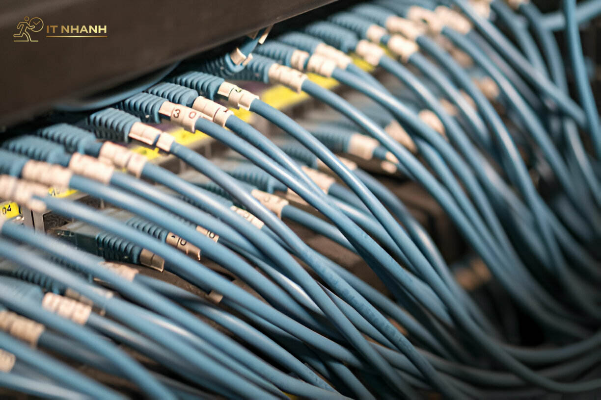 Dịch vụ đi dây mạng chuyên nghiệp Lắp đặt mạng internet chuyên nghiệp