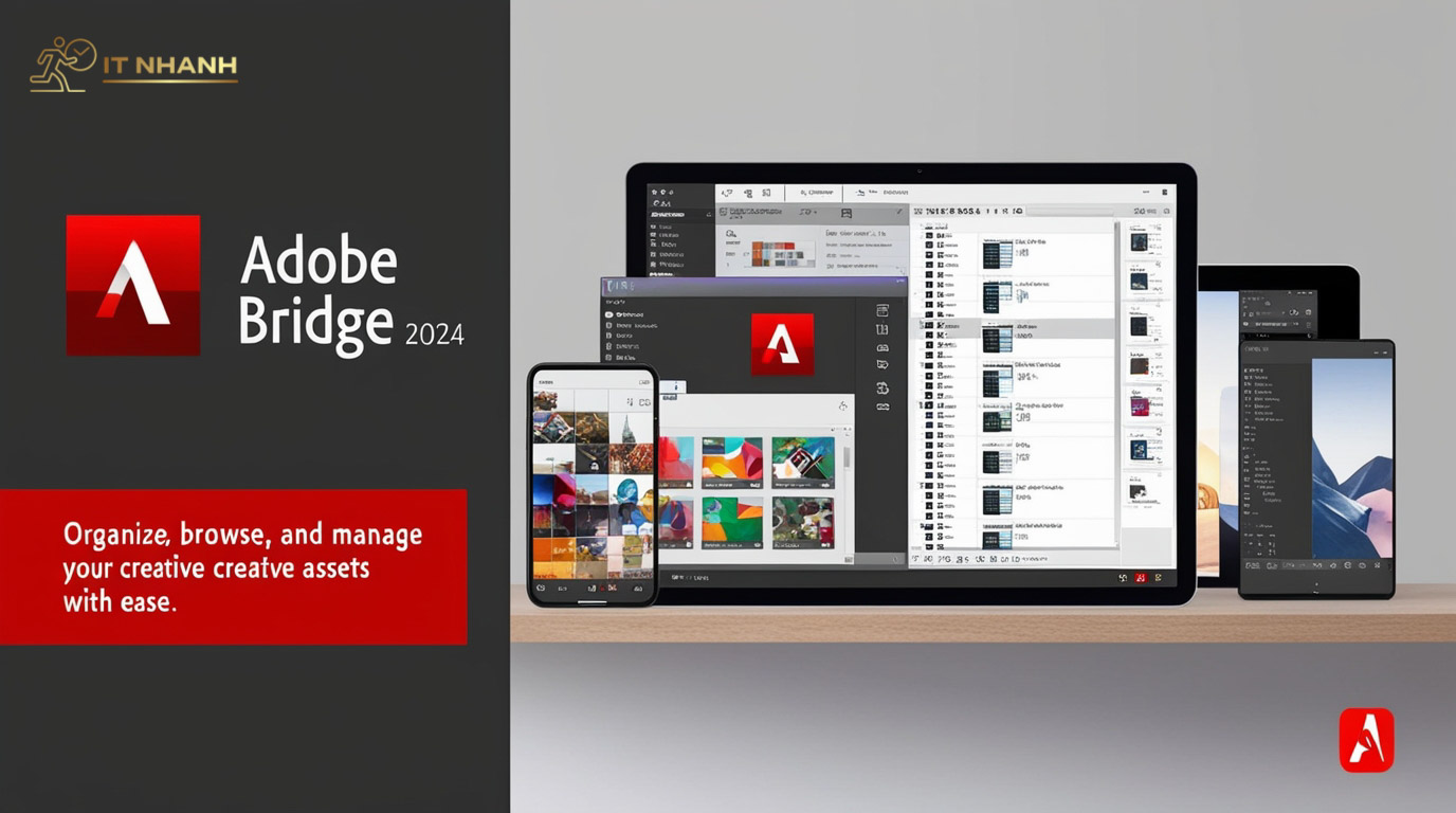 Cài đặt Adobe Bridge Dịch vụ cài đặt Adobe Bridge chuyên nghiệp tại IT Nhanh